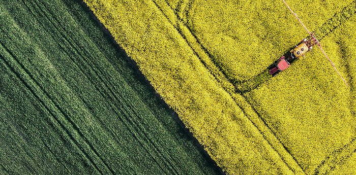 Our Network: Arial view of a farmer harvesting a yellow filed next to a green one.  